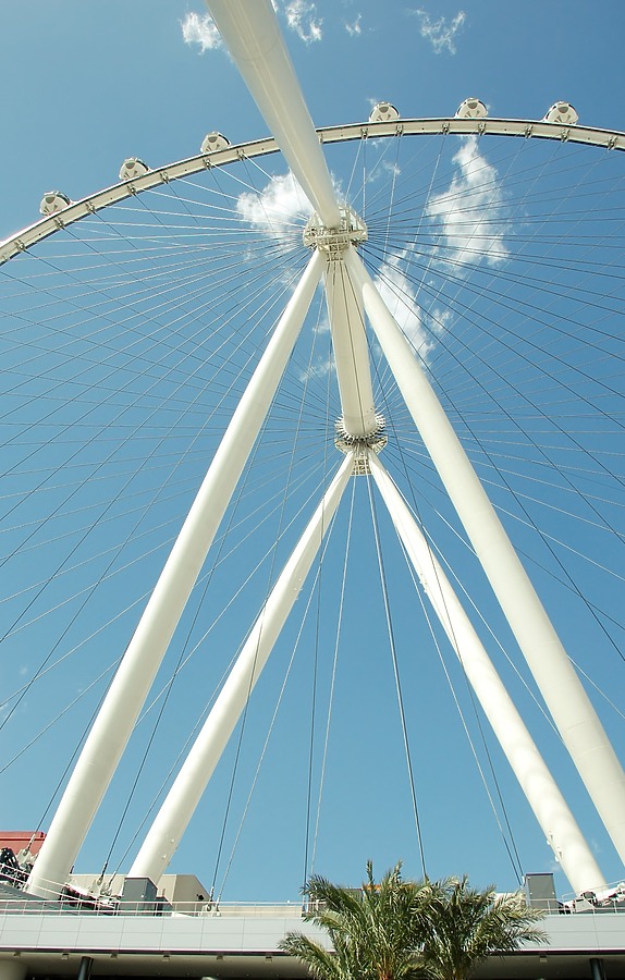 High Roller by Brian LoBue