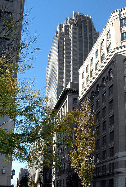 View from the east along York Street