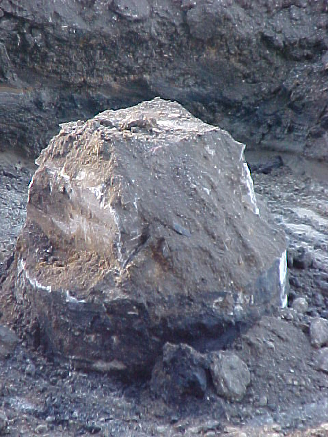 Trump International Hotel & Tower by B. Victor Adams