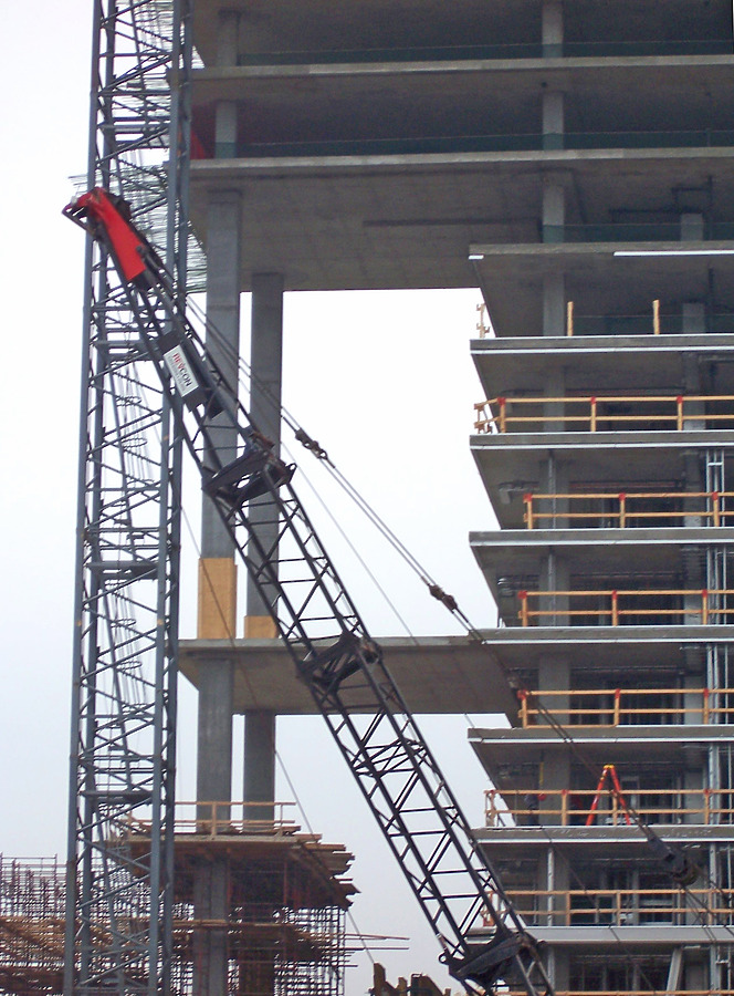 Optima Old Orchard Woods by Shawn Ursini