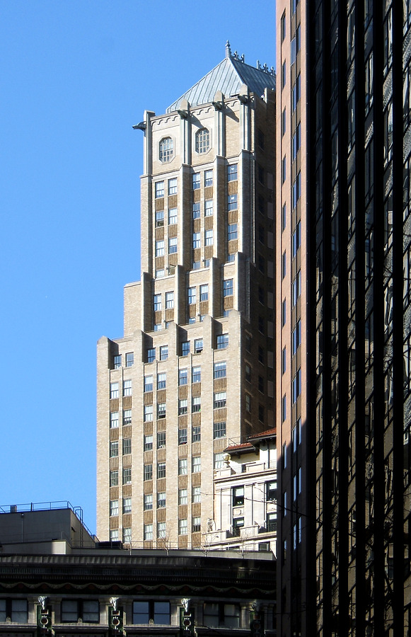 The Crest by John Cahill