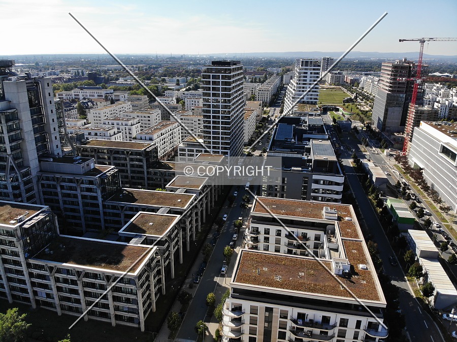 SOLID Home by Nephilim