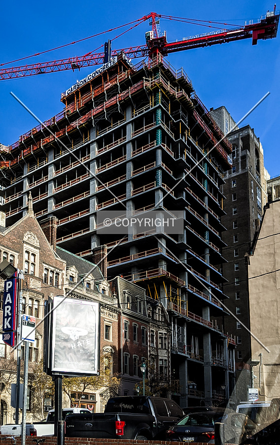 The Laurel by Chris Patriarca