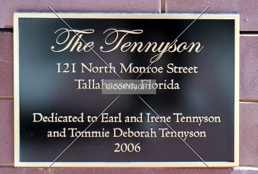 The Tennyson by Jorge Molina