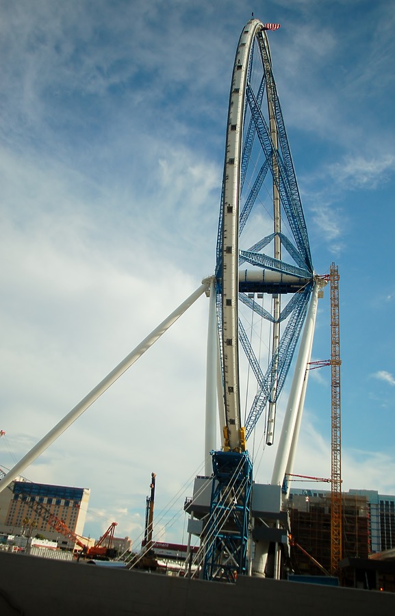 High Roller by Brian LoBue