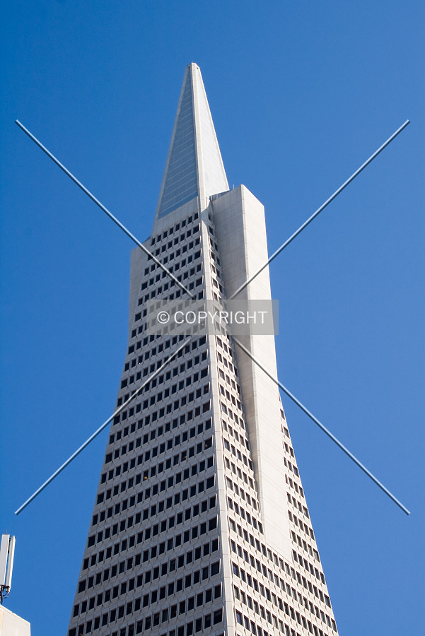Transamerica Pyramid by Martin Bugajski