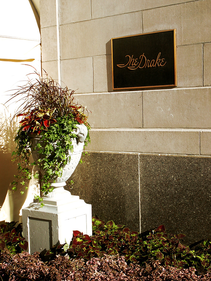 Drake Hotel by Daniel Kieckhefer