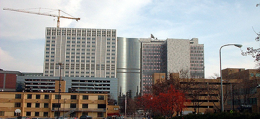 Gonda Building by James Peacock