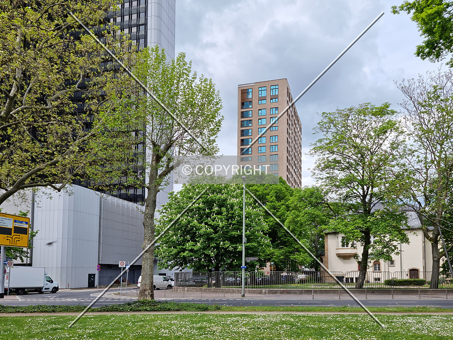 Blue Horizon by Nephilim