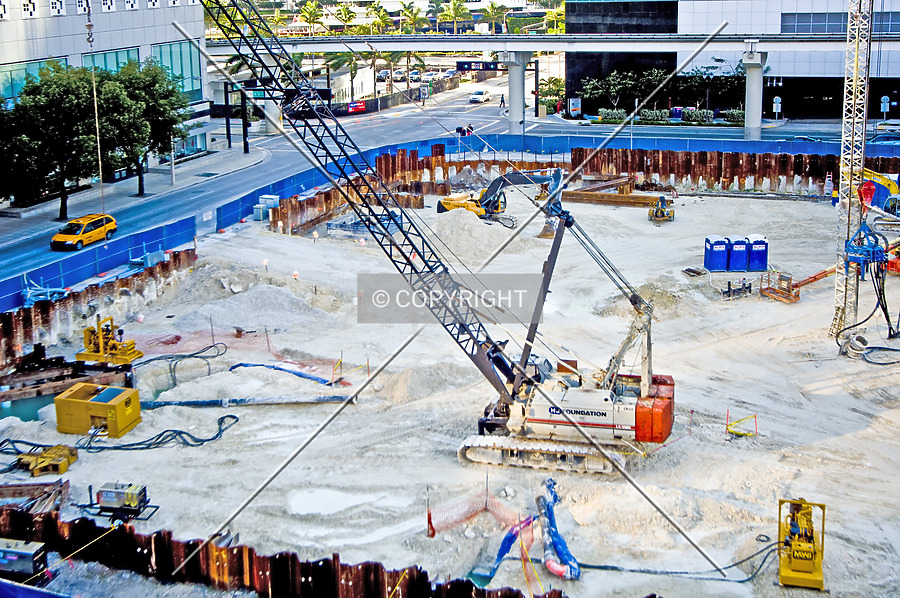 Monarc at Met 3 by Jorge Molina