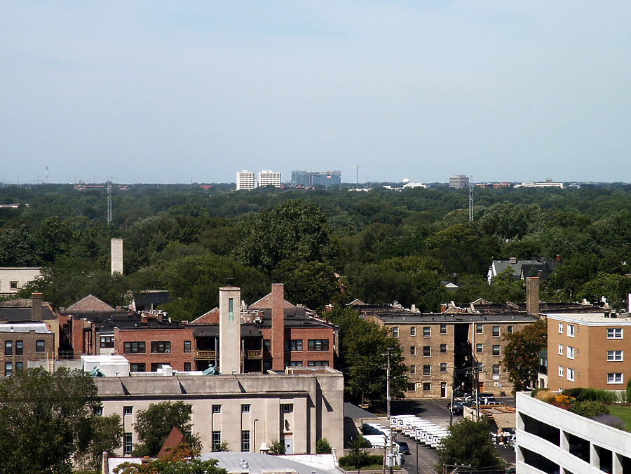Optima Old Orchard Woods by Daniel Kieckhefer