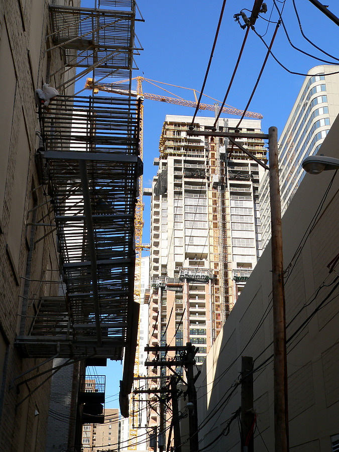 The Columbian by B. Victor Adams