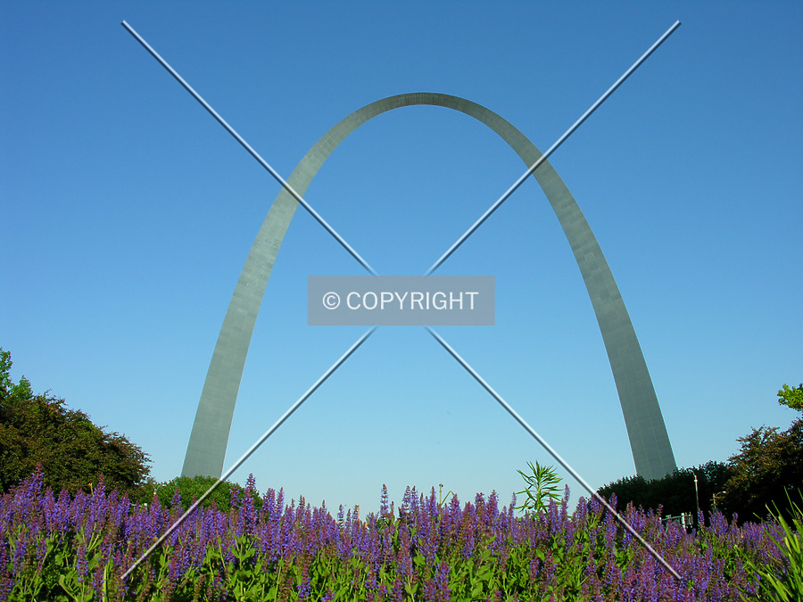 Gateway Arch by Lizzie Morrison