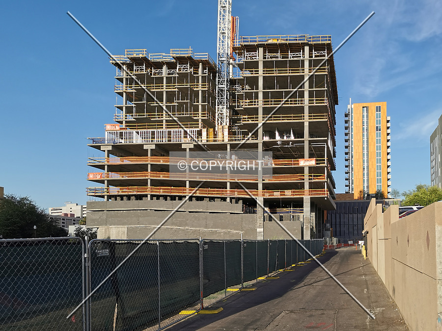 OLIV Tempe by Nephilim