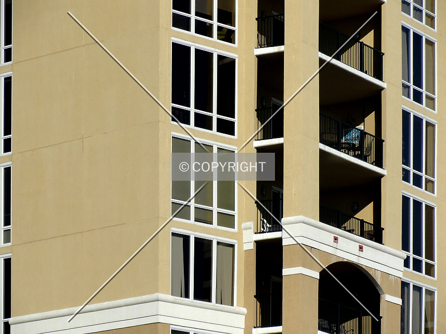 Sienna on the Coast by Chris Patriarca