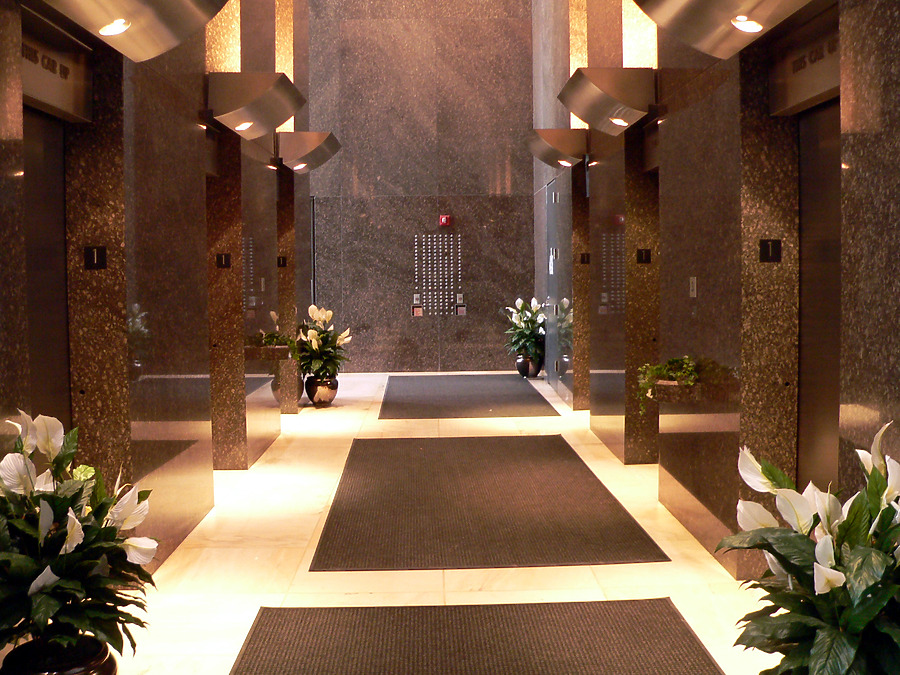 1001 Woodward by B. Victor Adams