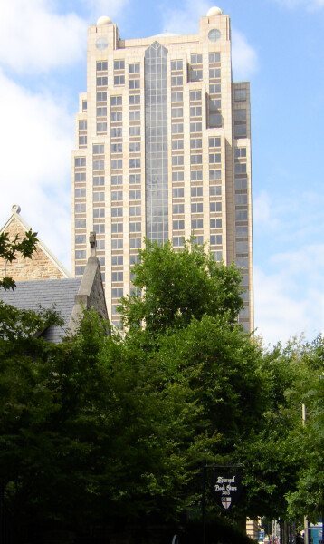 Through the treetops along 6th Avenue North