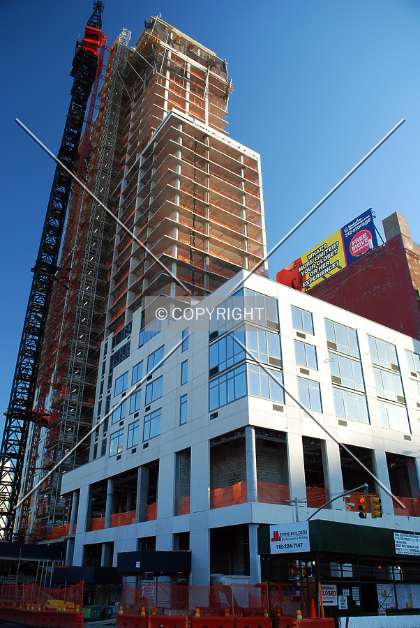 OHM by Royce Douglas