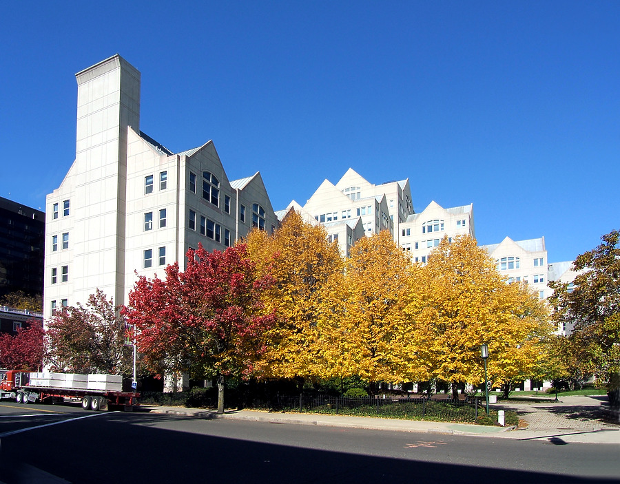 Canterbury Green by John Cahill