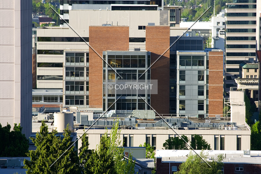 Urban Center
