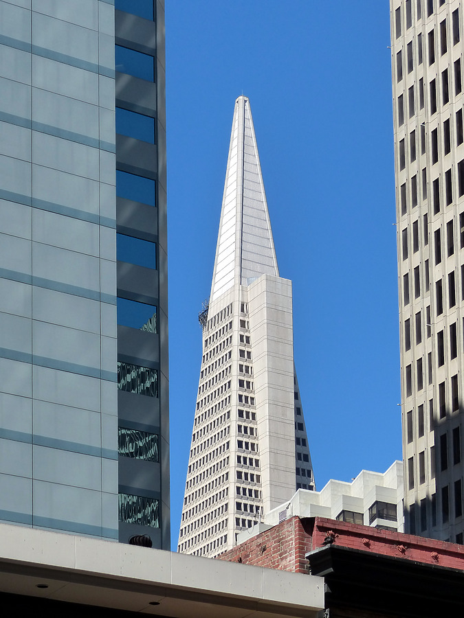 Transamerica Pyramid by Nate Lindsey