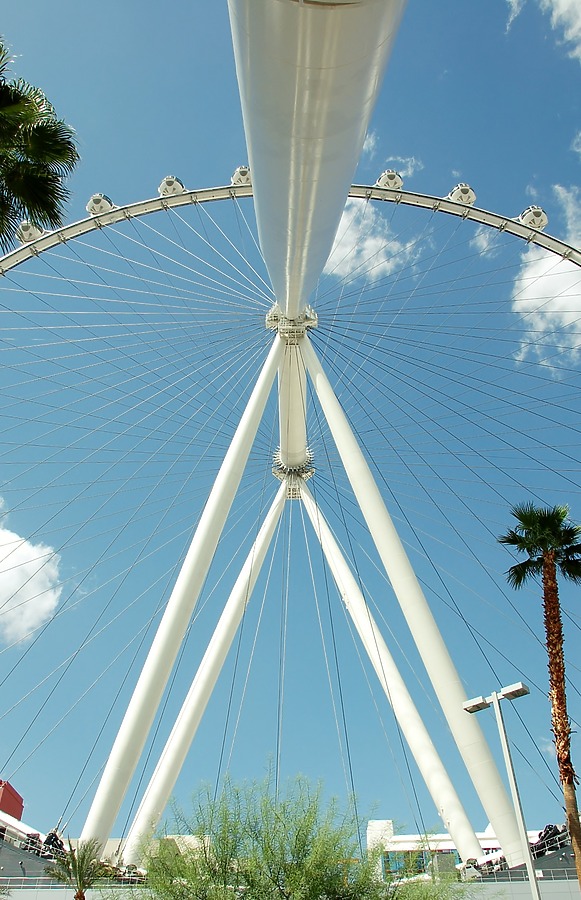 High Roller by Brian LoBue