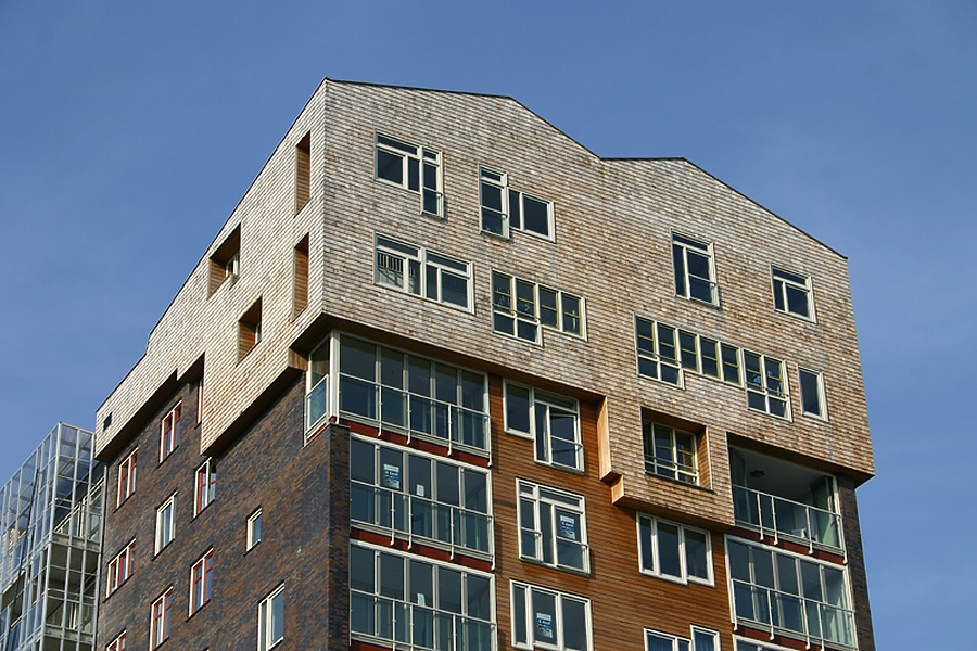 De Steven by Michiel van Dijk