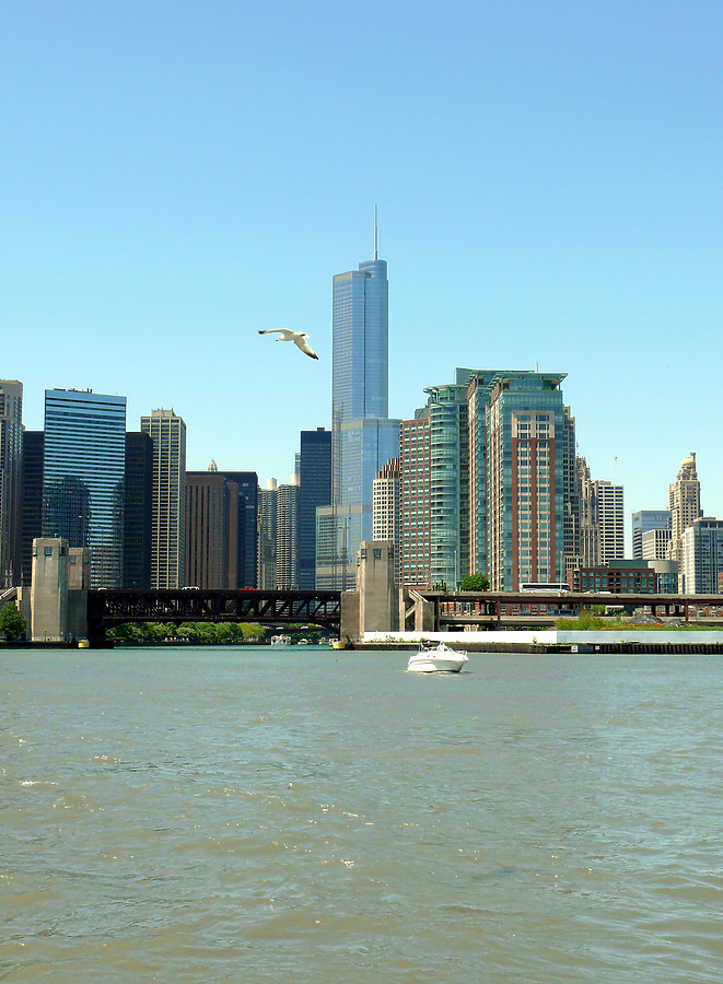 Trump International Hotel & Tower by B. Victor Adams