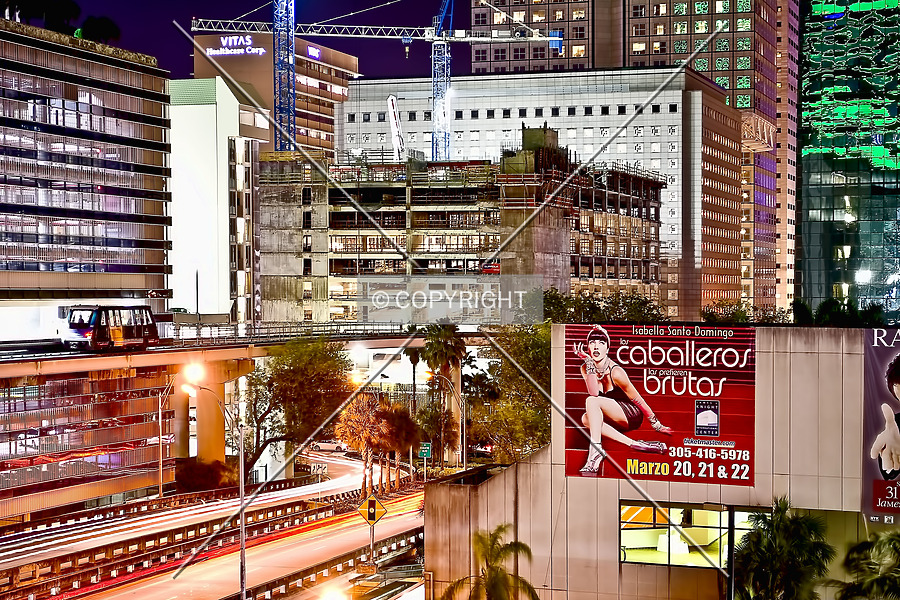 Monarc at Met 3 by Jorge Molina