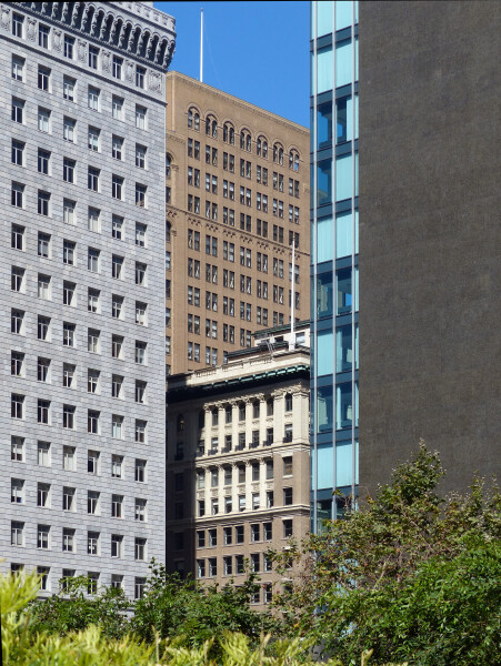 339-426-811