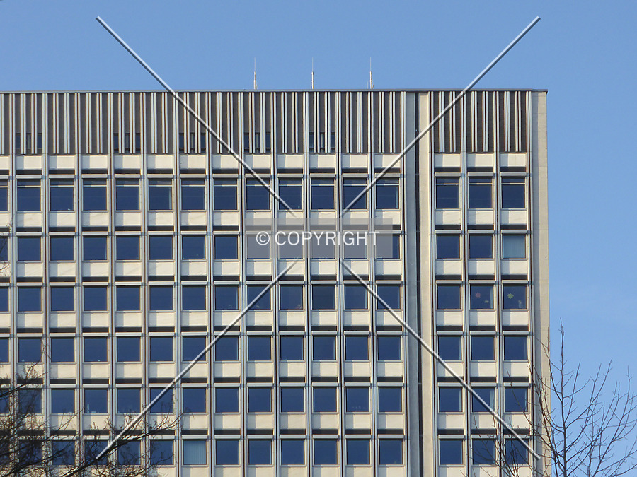 Hochhaus im Tulpenfeld by Nephilim