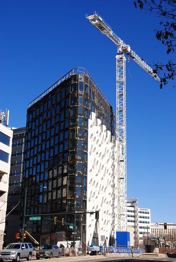 Populus by Brian LoBue