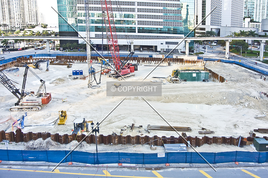 Monarc at Met 3 by Jorge Molina