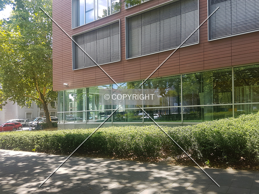 Allianz-Kai by Nephilim