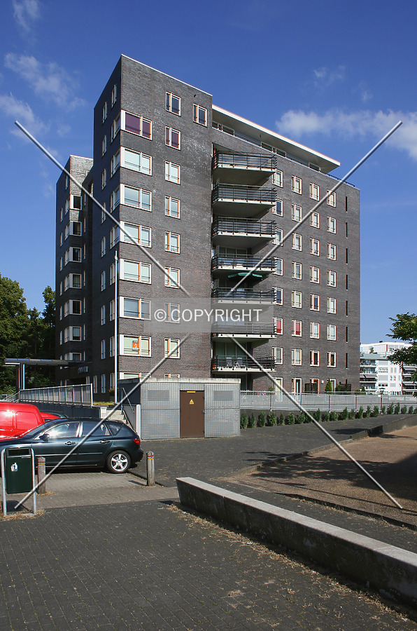 Paladijn by René Hogendijk