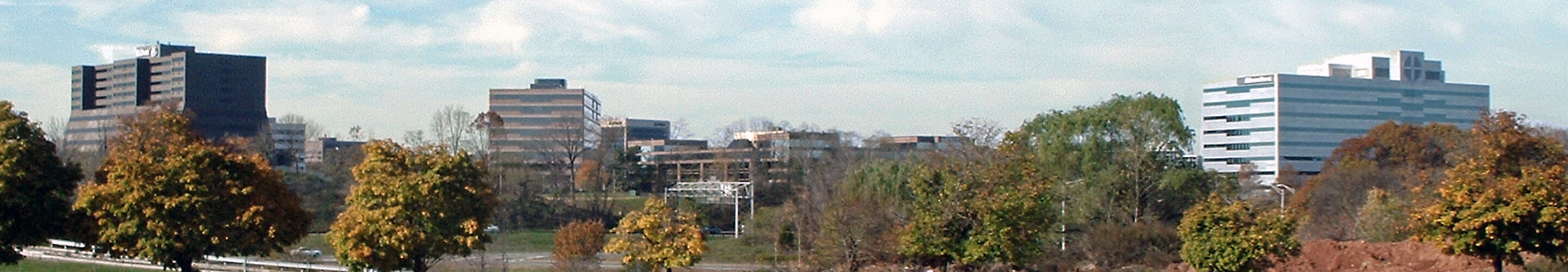 View from the northeast