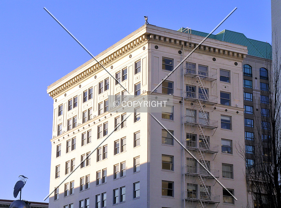 Pioneer Park Building by Serdica