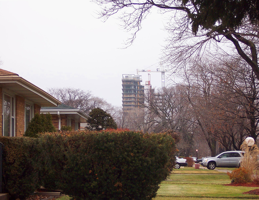 Optima Old Orchard Woods by Shawn Ursini