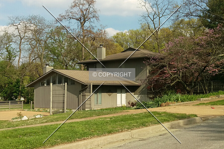 834 Diversey Drive