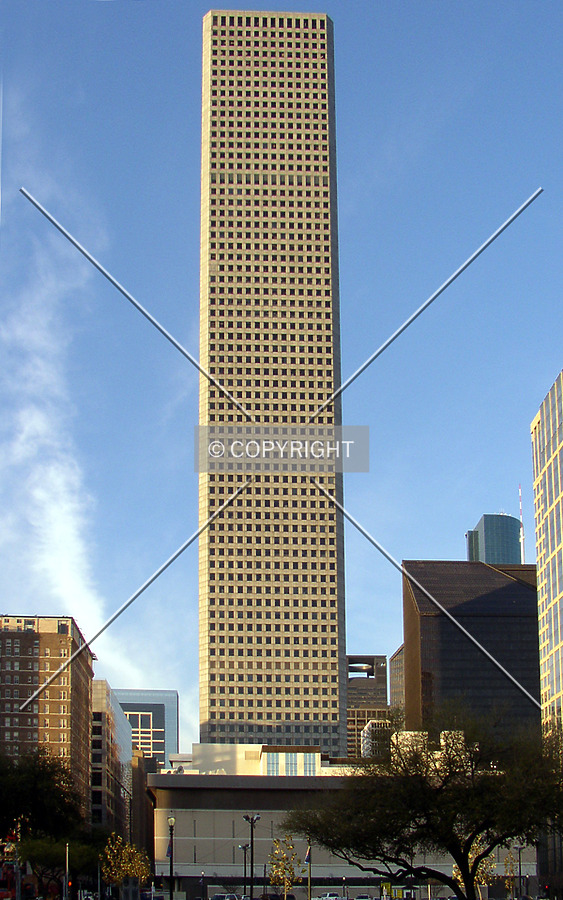 600 Travis by Chris Patriarca