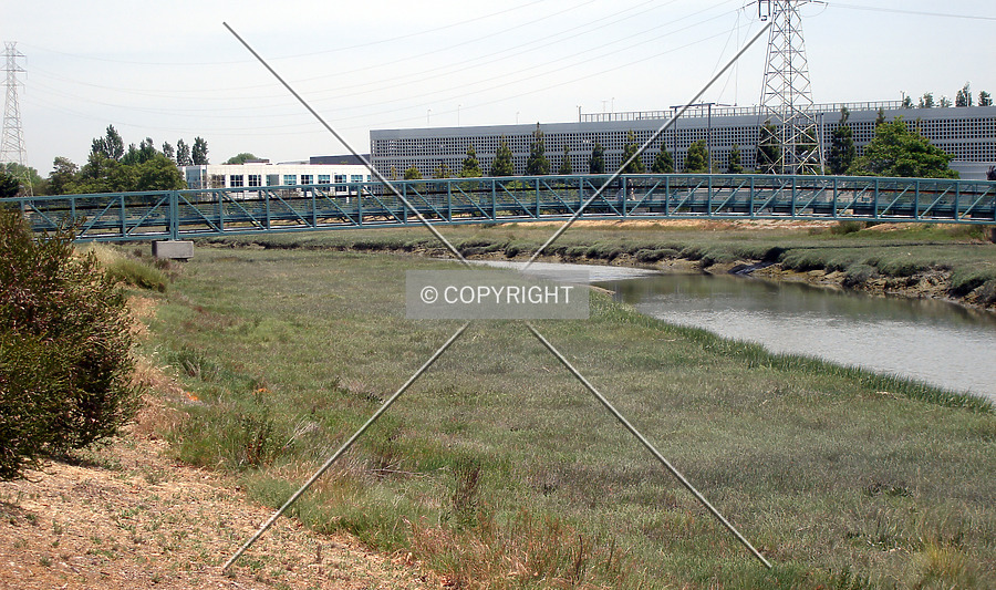 Oracle Passenger Bridge by Nephilim