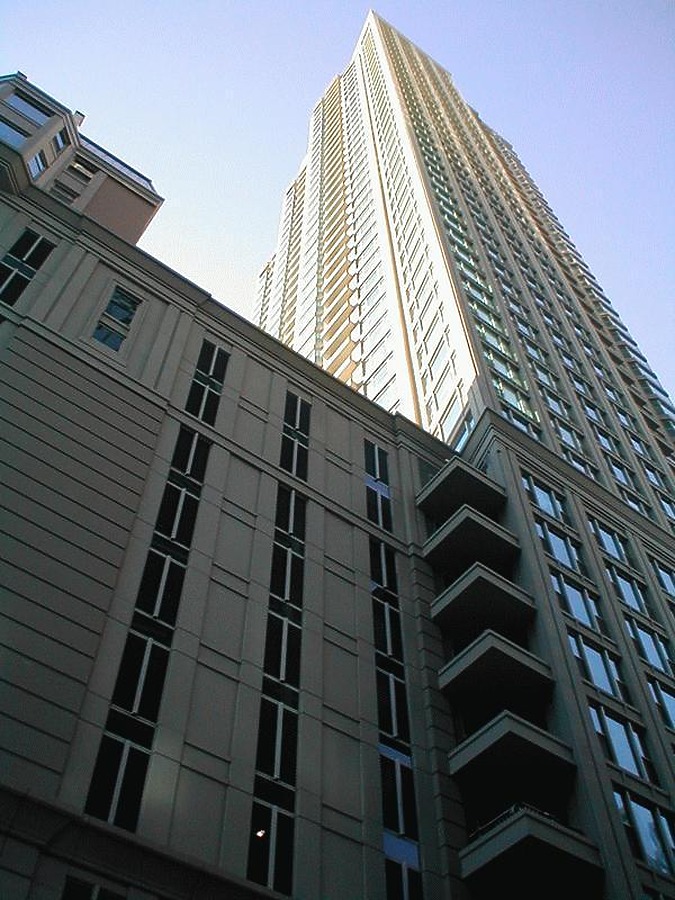 The Fordham by Tom Finnegan