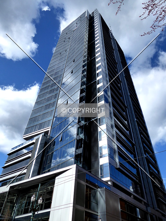 Park Avenue West by Chris Patriarca