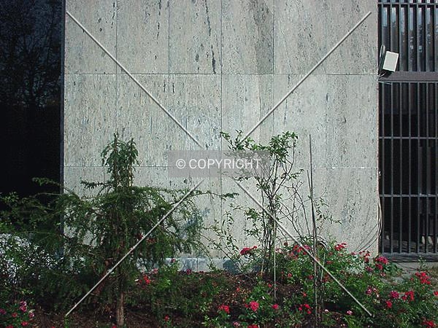 SGZ-Bank by Nephilim