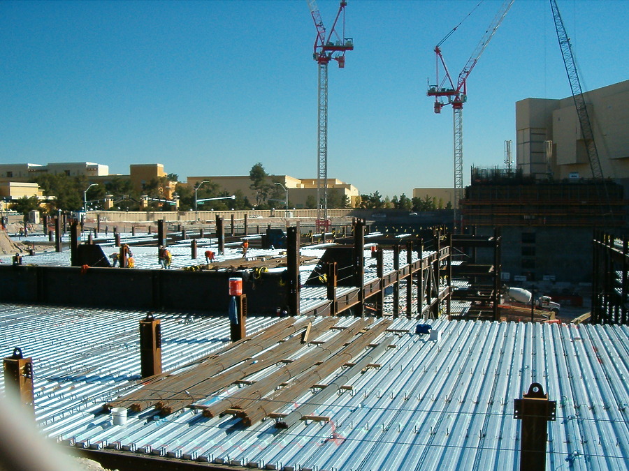 The Palazzo by Rodney Gunn