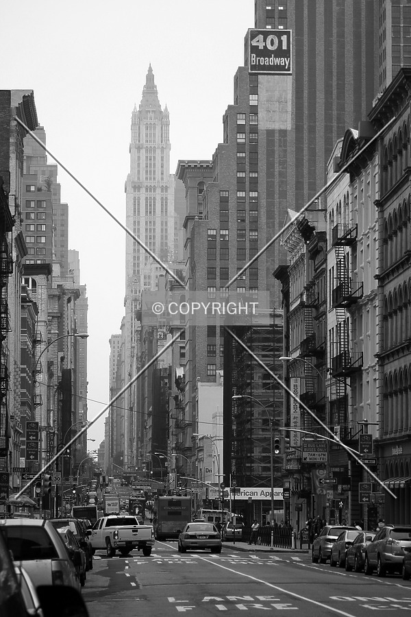 Woolworth Building by René Hogendijk