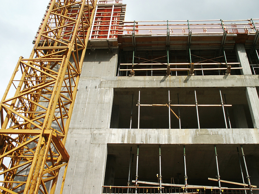 Maryland Walk by Daniel Kieckhefer