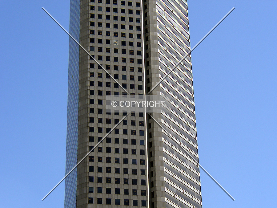 600 Travis by Chris Patriarca