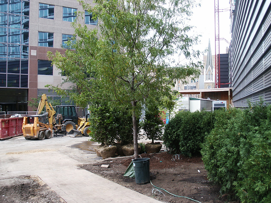 Optima Horizons by Daniel Kieckhefer