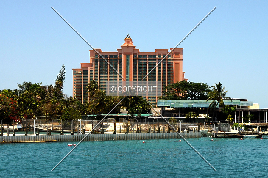 The Reef Atlantis by Jorge Molina